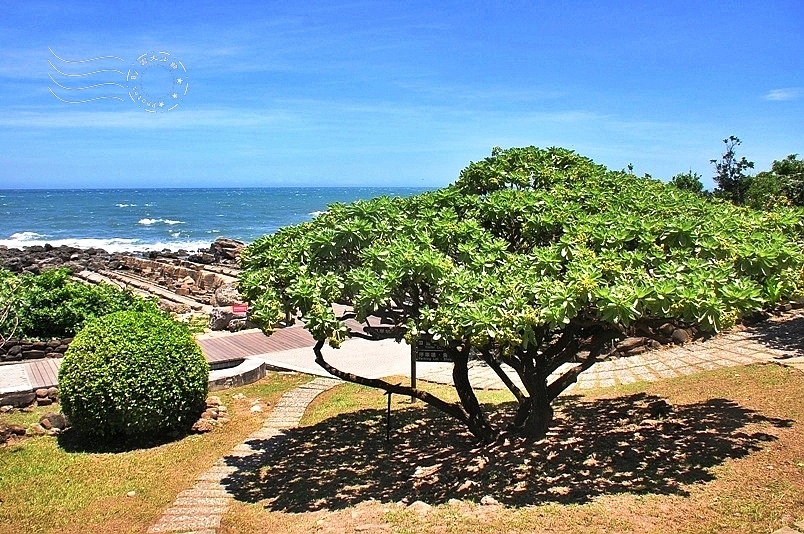 台東小野柳