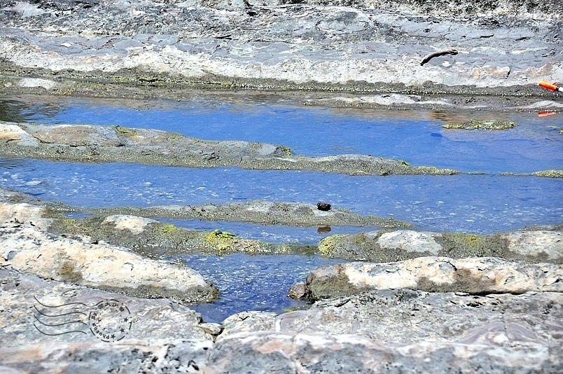 台東小野柳