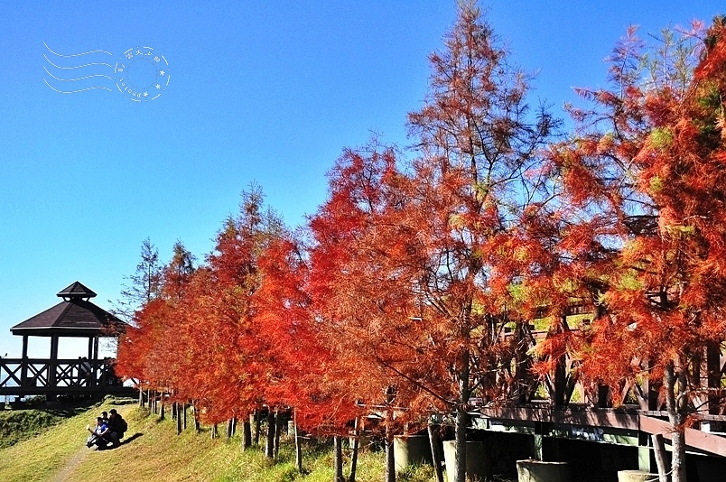 清境農場，青青草原