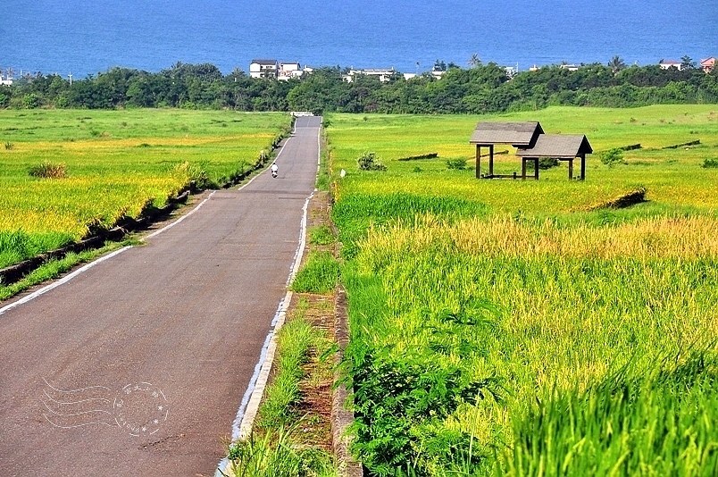 台東長濱金剛大道 台東長濱金剛大道