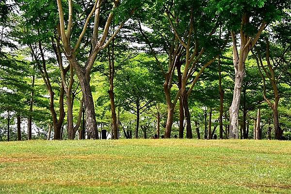 台南都會公園