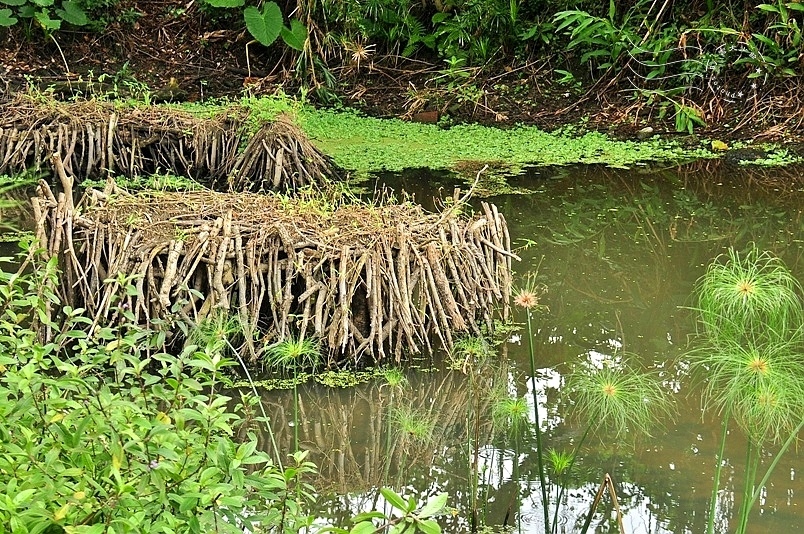 芝山文化生態綠園