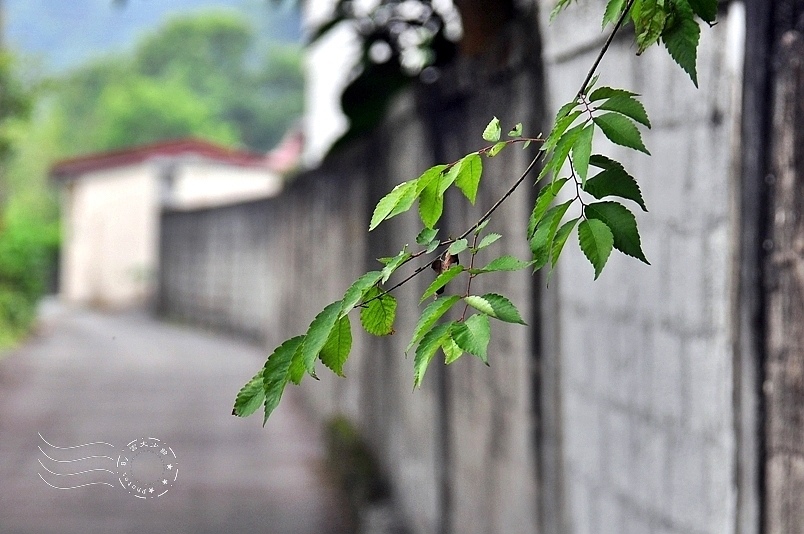 花蓮萬榮鄉萬榮村