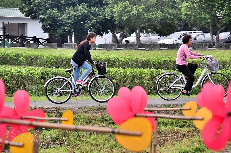 花蓮大農大富平地森林園區