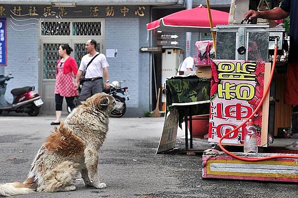 南庄老街