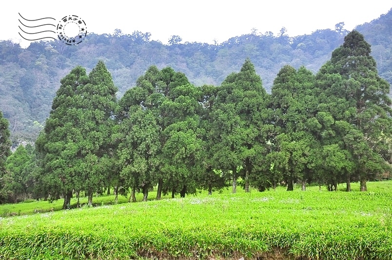 玉里赤柯山