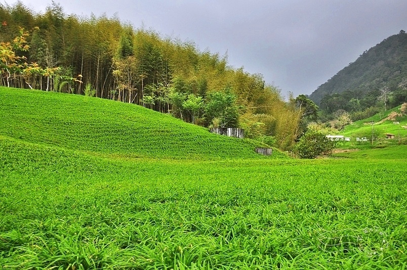 玉里赤柯山