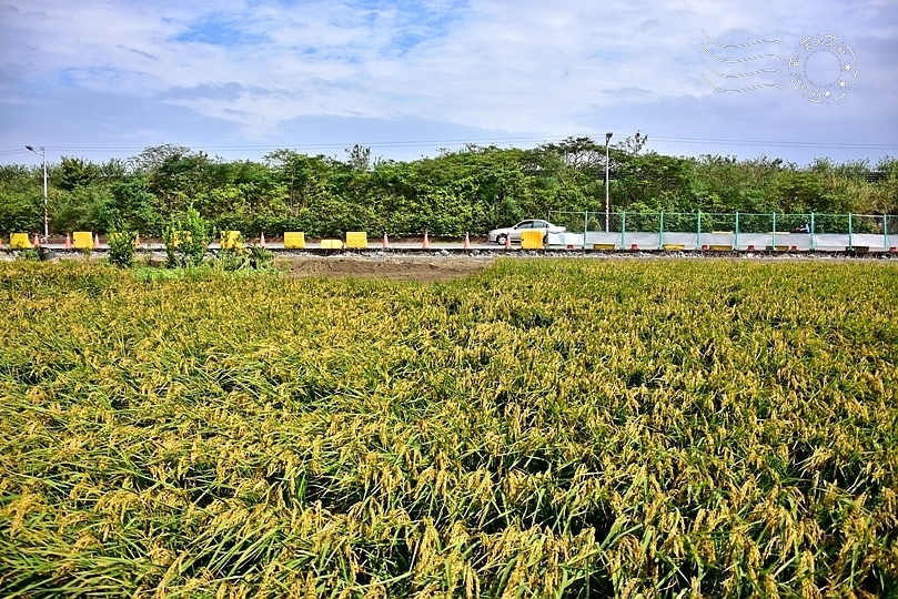 新竹市【康樂社區】