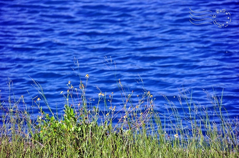 活水湖