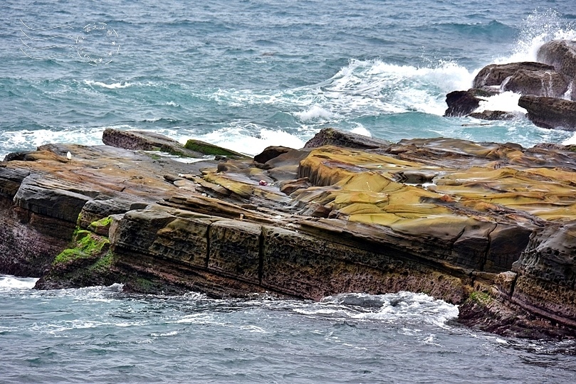 八斗子車站海景