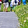 苗栗市功維敘彩虹隧道