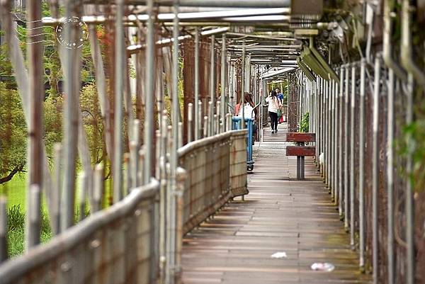 慶和橋津梅棧道