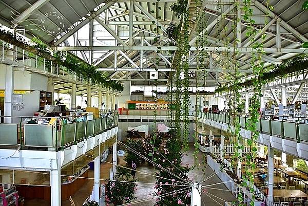 香草菲菲:天空步道