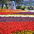 古亭河濱公園花海