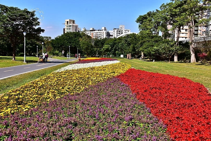 古亭河濱公園花海