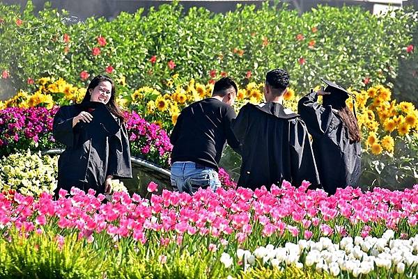 中社觀光花市