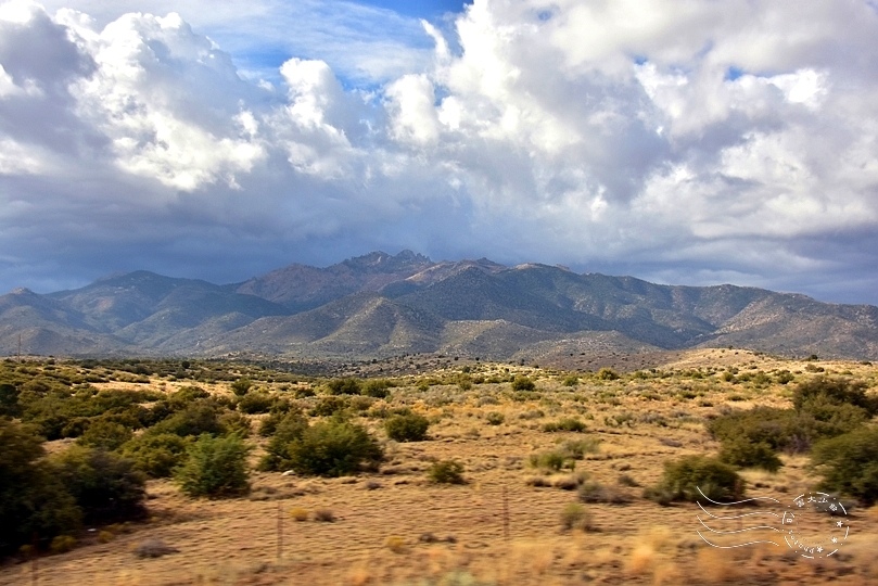 亞利桑那州沙漠