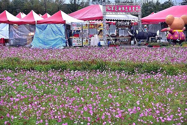 桃園仙草花節2020