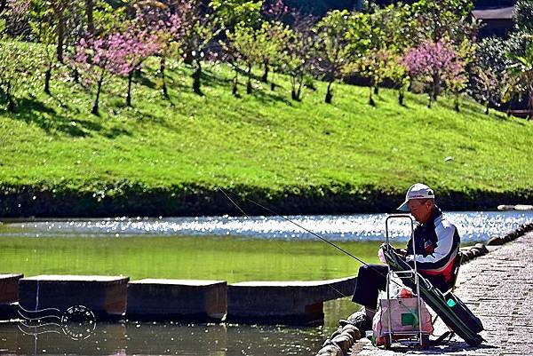 內溝溪五分埤步道