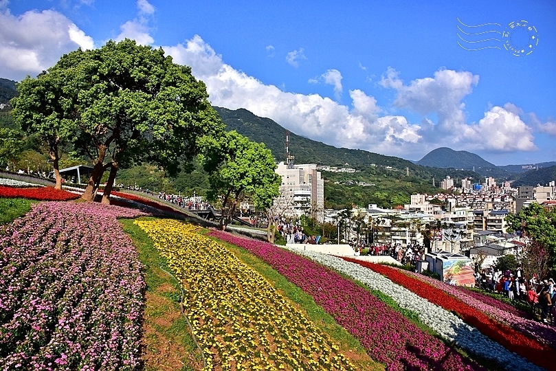 北投三層崎公園花海