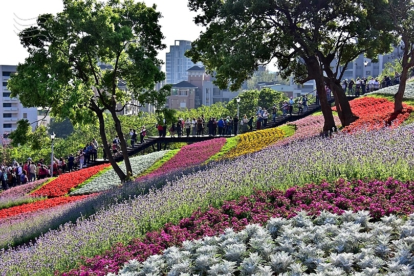 北投三層崎公園花海