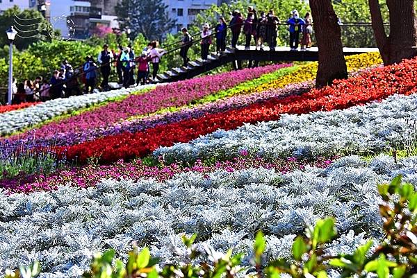 北投三層崎公園花海