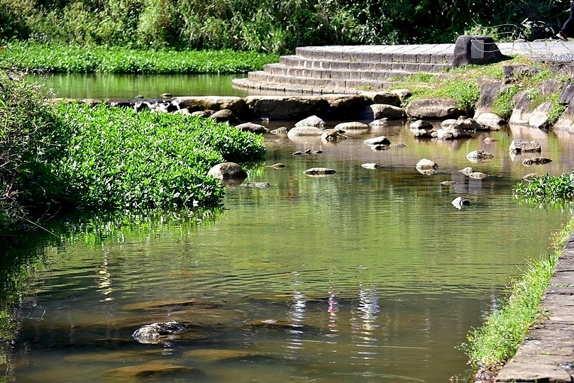 大溝溪親水步道