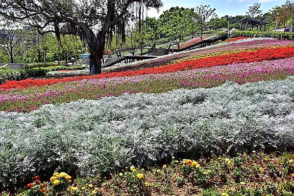 三層崎公園花海