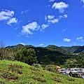 三層崎公園花海