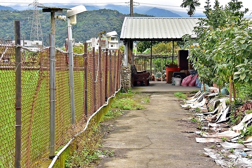 宜蘭員山鄉阿公雞舍