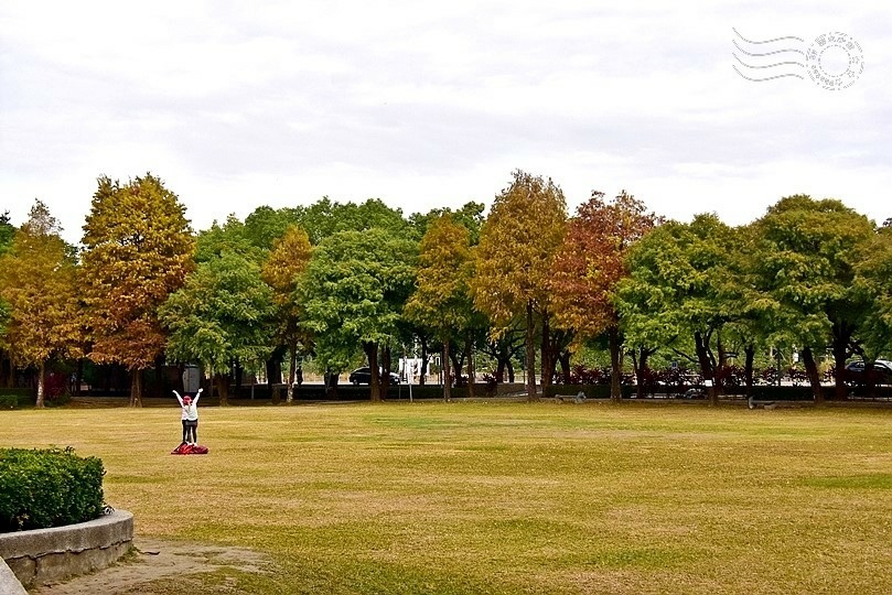 雲林古坑綠色隧道