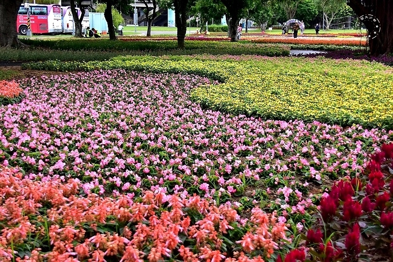 延平河濱公園花海