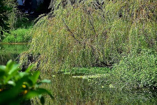 松山文創園區