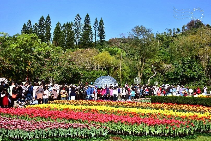 2023士林官邸鬱金香展