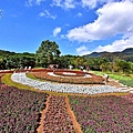 三層崎公園花海