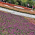 三層崎公園花海