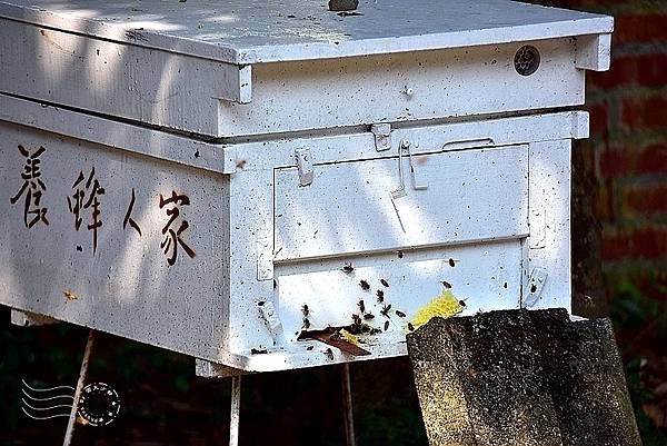 養蜂人家蜂采館:蜂箱