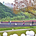 古亭河濱公園花海