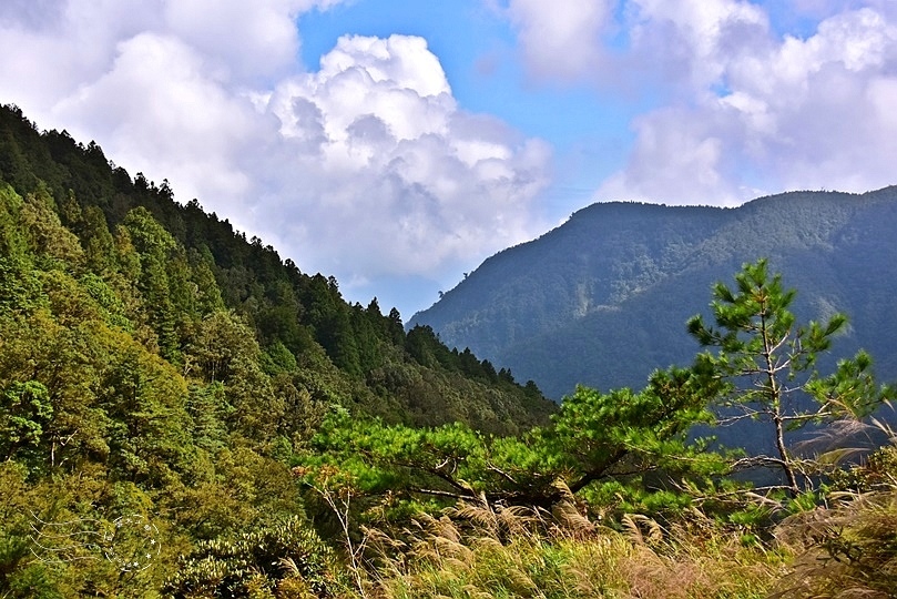 太平山山景