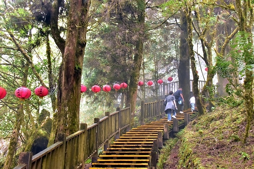 太平山莊原始林步道