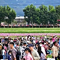 2023臺中國際花毯節