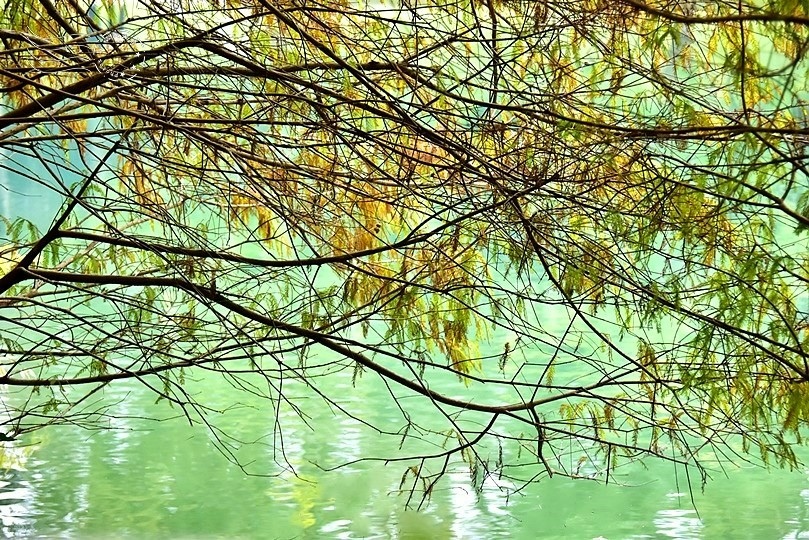 花蓮雲山水