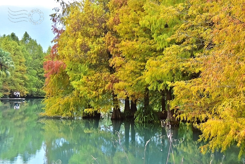 花蓮雲山水