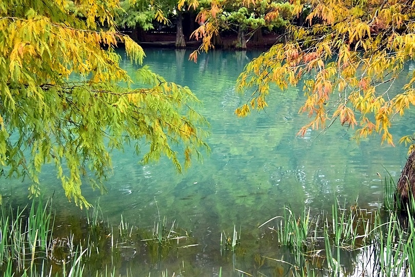 花蓮雲山水