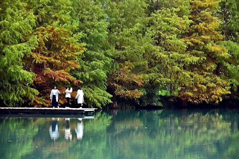 花蓮雲山水