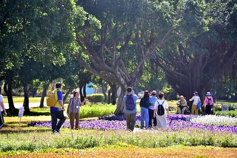 2023延平河濱公園花海