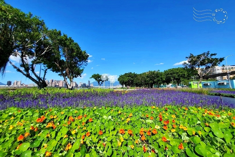 2023延平河濱公園花海