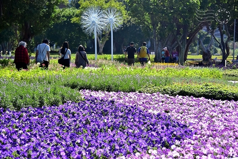 2023延平河濱公園花海