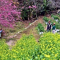 水里【阿本農場】