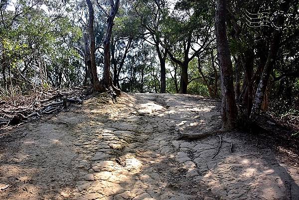 鄭漢紀念步道